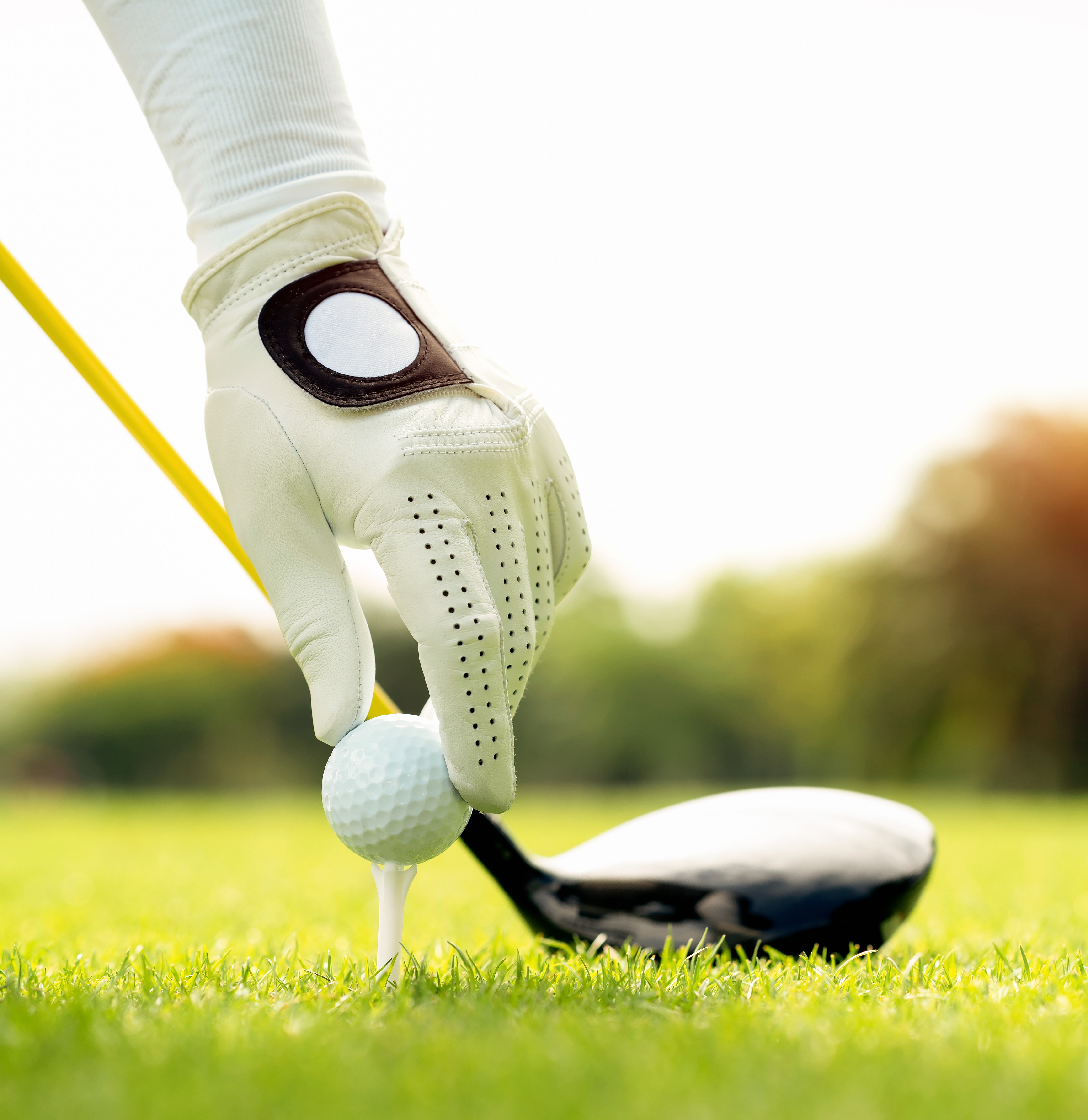Exclusive Green Fee
